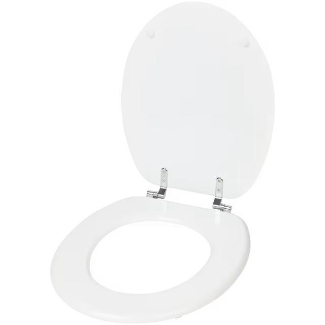 Lunette de toilettes