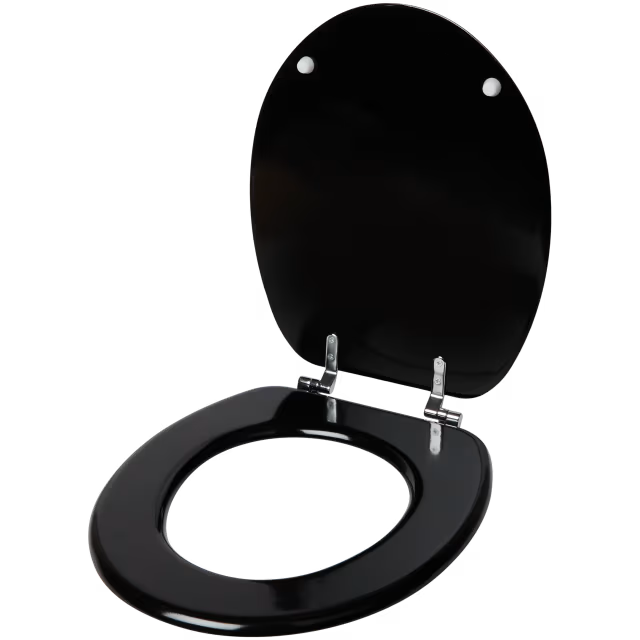 Lunette de toilettes