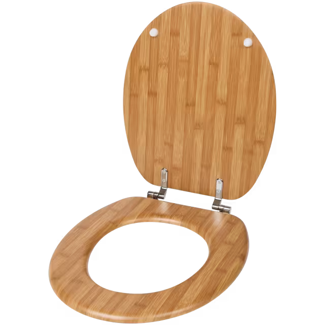 Lunette de toilettes