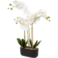 Orchidée artificielle en pot