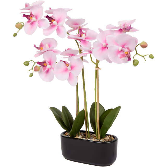 Orchidée artificielle en pot