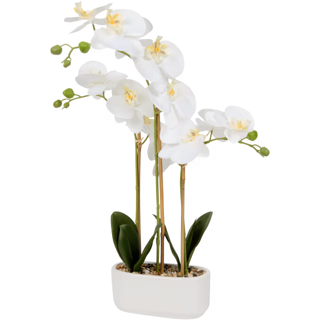 Orchidée artificielle en pot